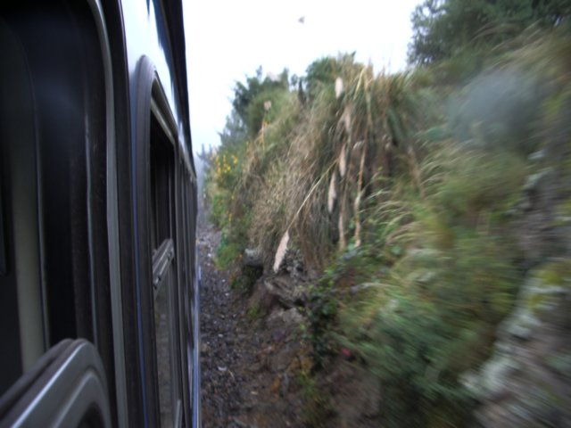 outthetrainwindow.jpg